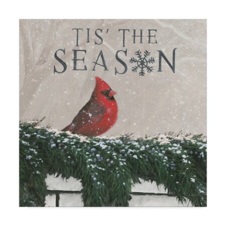 Trademark Fine Art James Wiens 'Christmas Affinity X' Canvas Art, 24x24 WAP06541-C2424GG